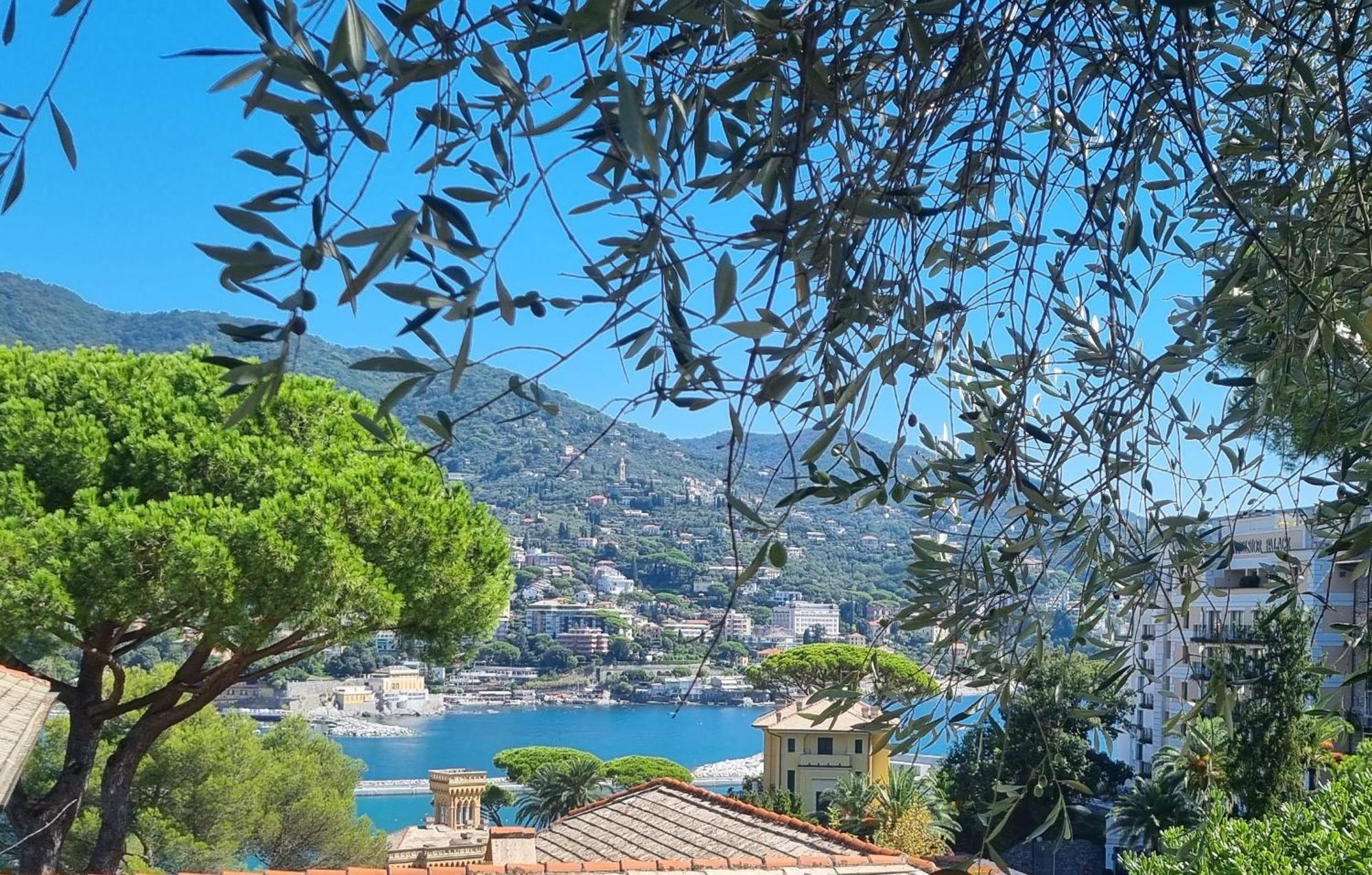 La Dolce Villa Rapallo Exteriör bild