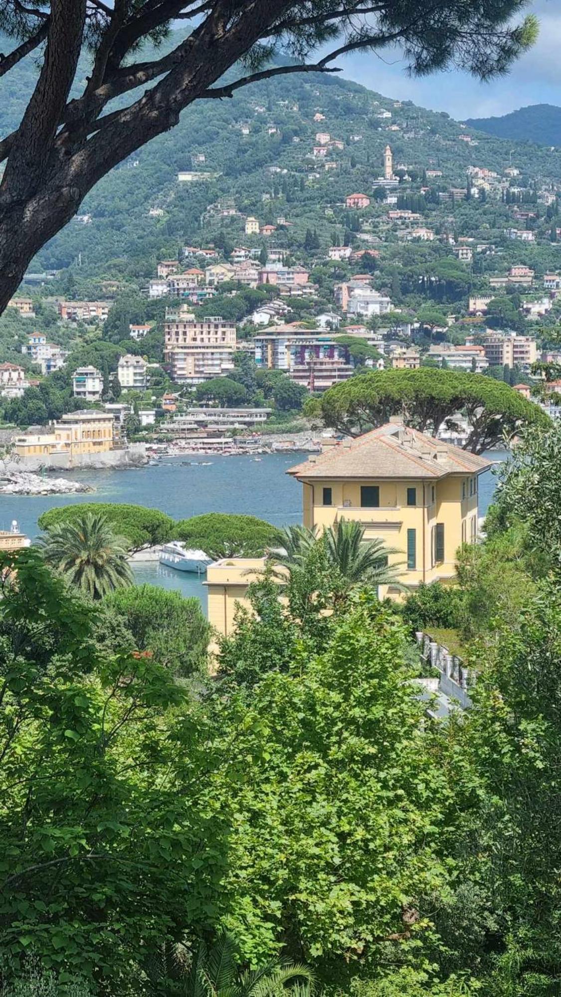 La Dolce Villa Rapallo Exteriör bild